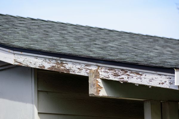 Hagerstown Wood Rot Repair