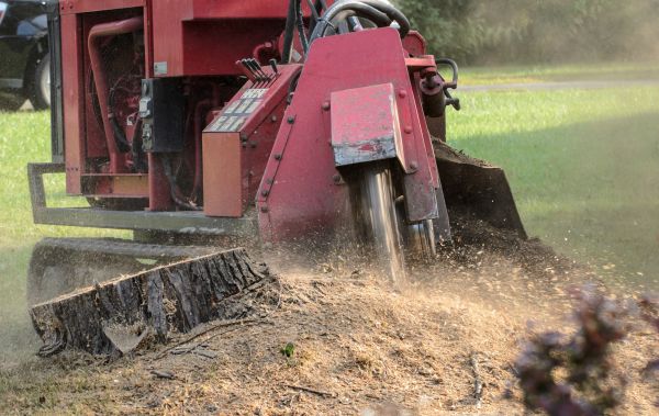 Hagerstown Tree Removal