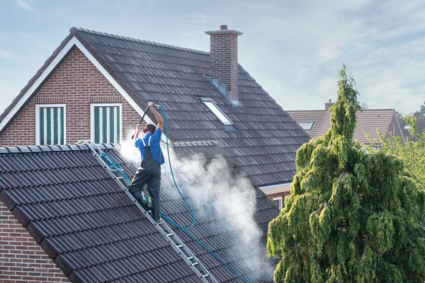 Hagerstown Roof Cleaning