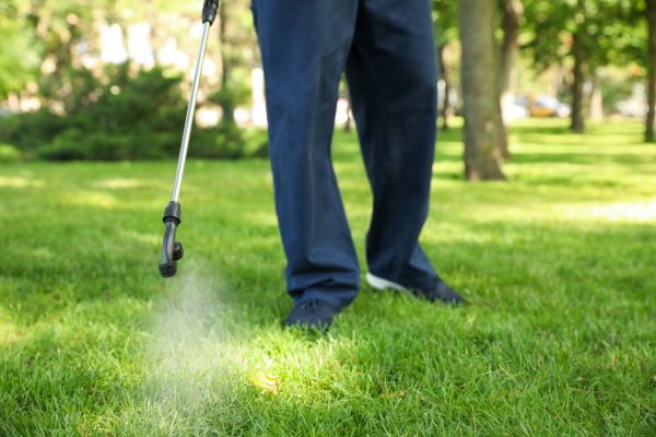 Hagerstown Lawn Treatment