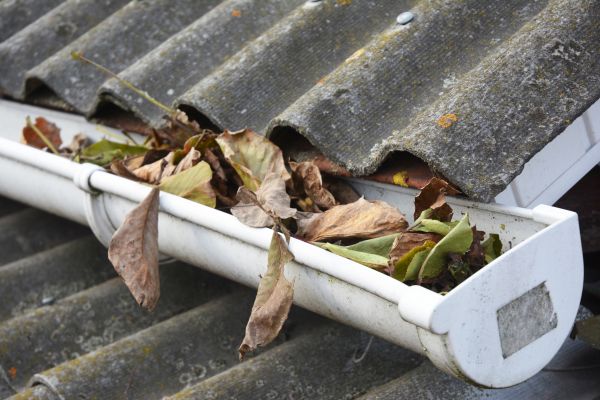 Hagerstown Gutter Cleaning