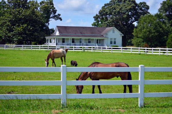 Hagerstown Fence Service